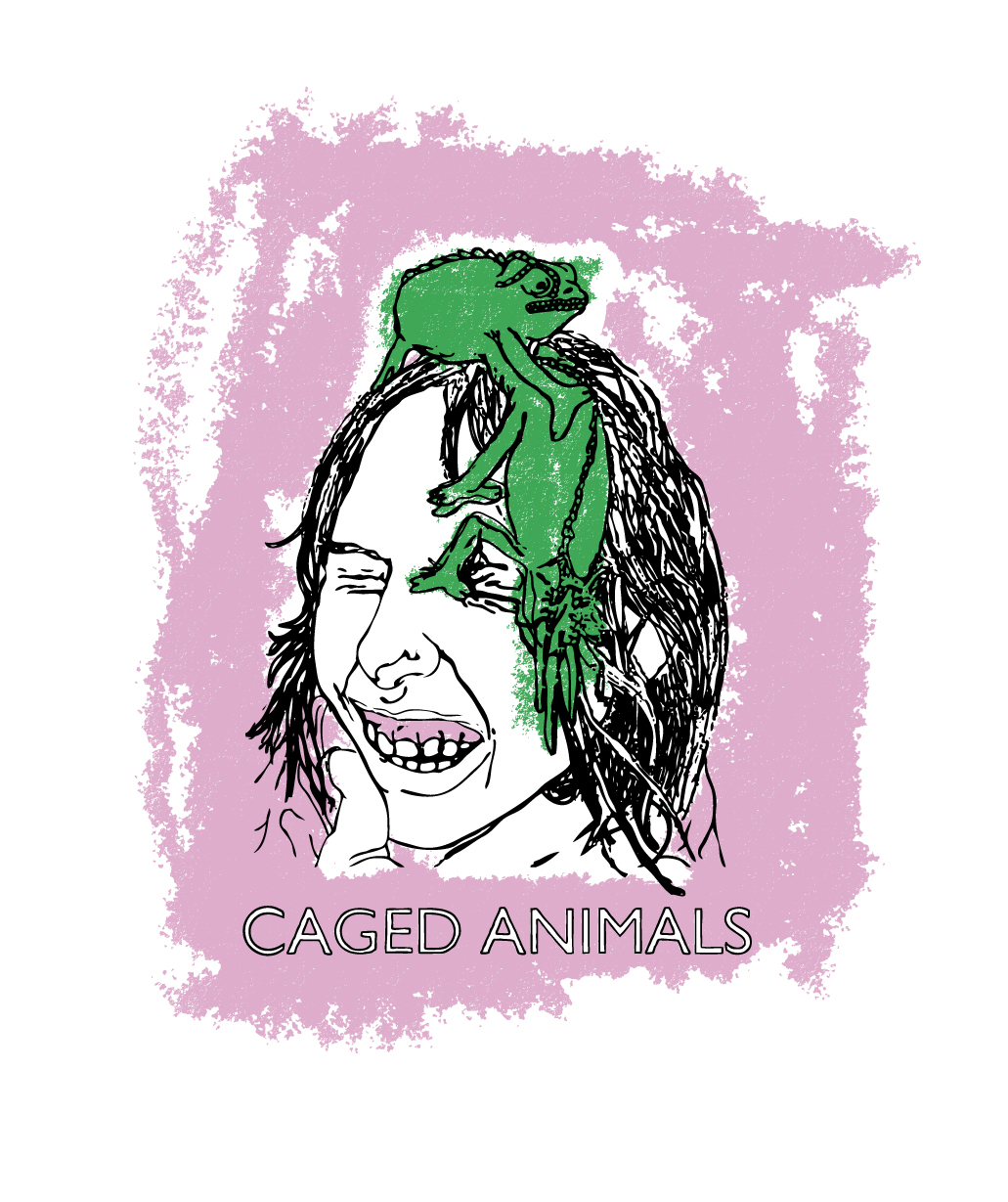 line drawing illustration of a girls face, with two lizards on her head, and with crayon color block textures.